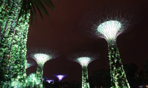 Garden Rhapsody