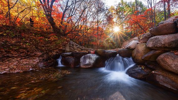 Huanren Forest Park