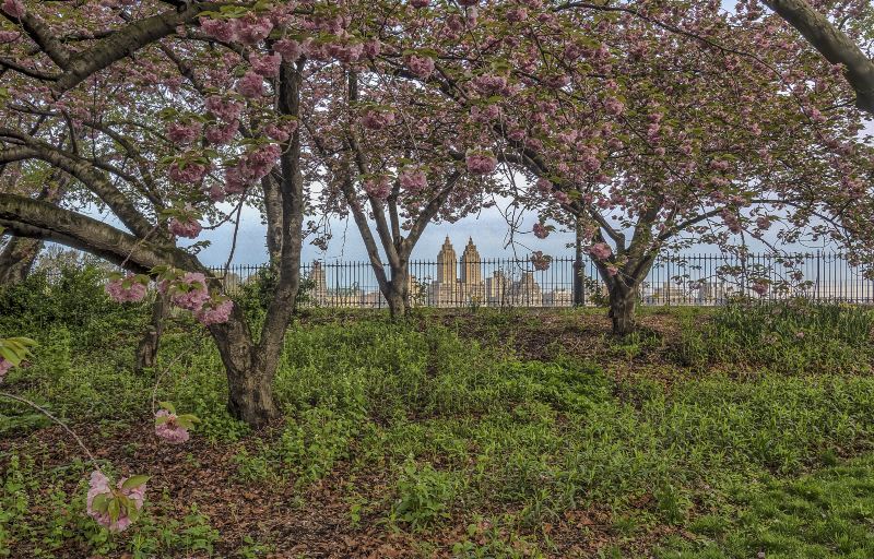 Xianrenshan Park (West Gate)