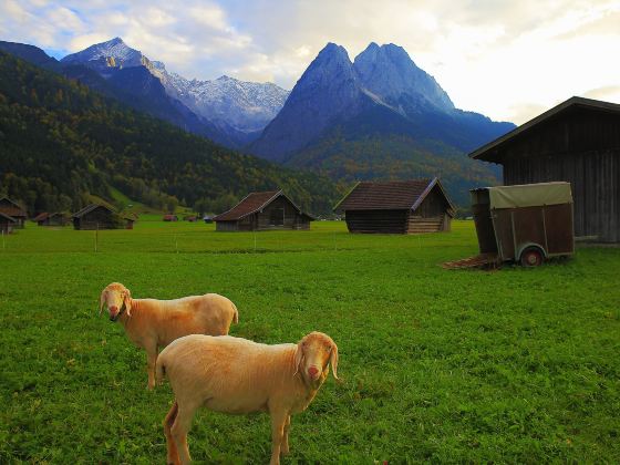 Bavarian Alps