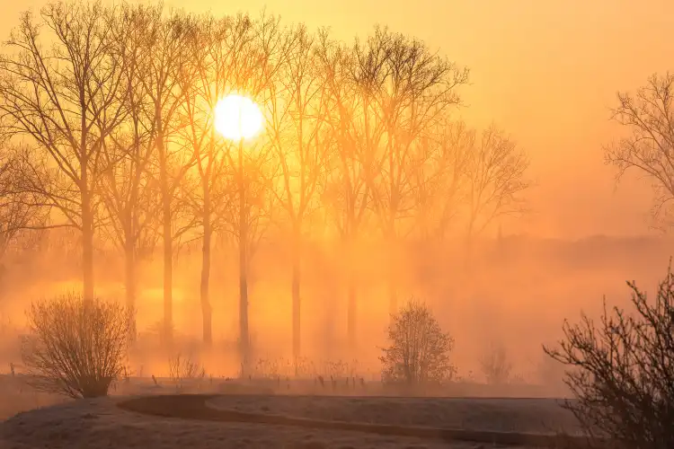 โรงแรมใกล้สวนสาธารณะมูเชิง