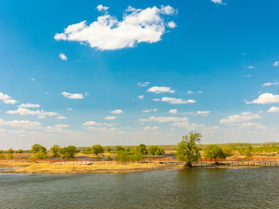 Minneriya National Park