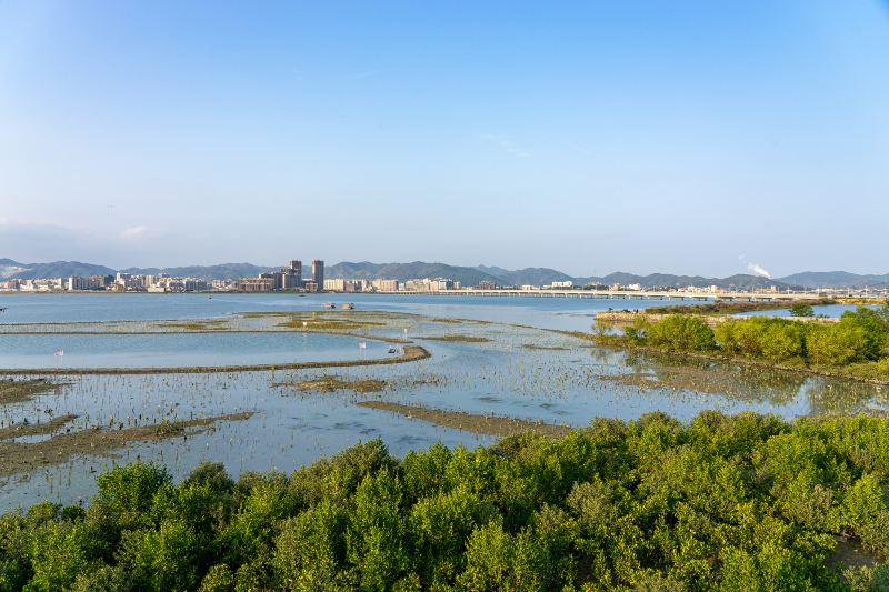 才村濕地公園