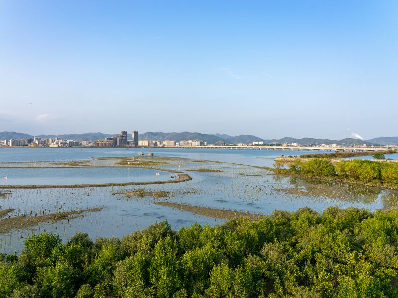 才村濕地公園