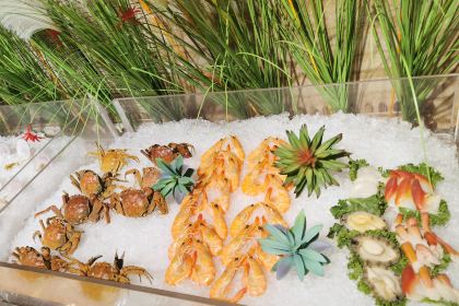 WU TONG SHU JIA RI JIU DIAN HUAN DAO CAN TING