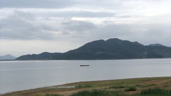 【景色】一直以为只有秋天水杉红了的时候才最好看，没有想到夏天