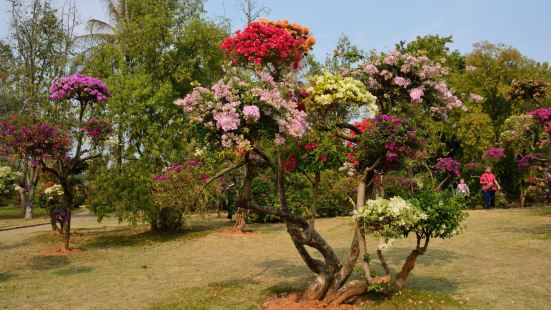 中国科学隆西双版纳热带植物园～藤本园站，员热带植物园内的一个