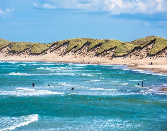 斯卡恩 自由行套票