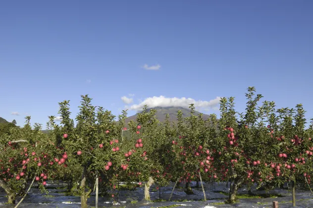 Отзывы об отеле Hotel Bientos