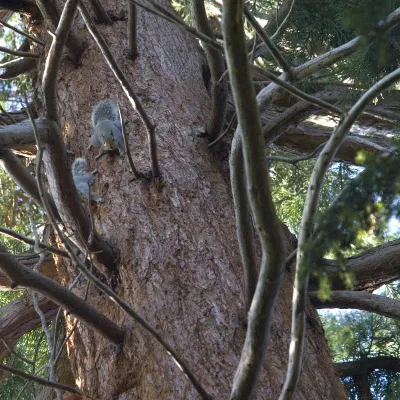 3-звездочные отели в г. Дуглас