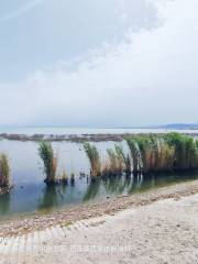 Bohu Marsh