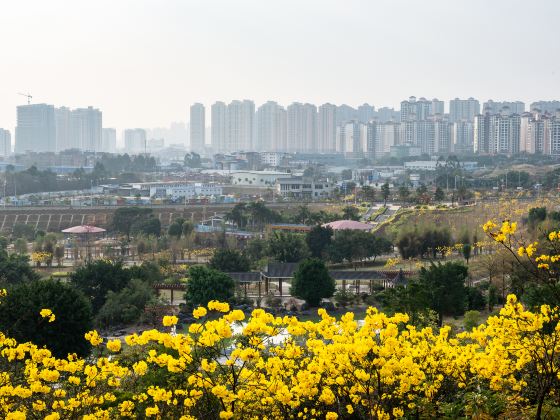 Jiangnan Park