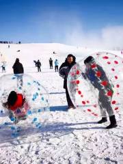 冰雪奇遇遊樂園