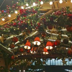 The Palm Court User Photo