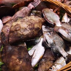 大榕树美食坊(吉祥路店) User Photo