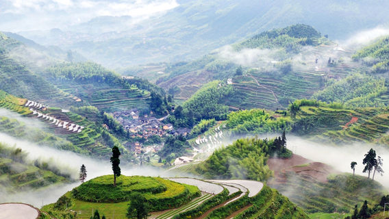 Terraced Fields Viewing in Lishui