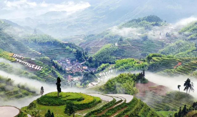 Terraced Fields Viewing in Yunhe