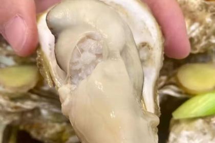 Six Feet Under Newstead