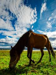 Lashi Lake Anzhong Horse Ranch