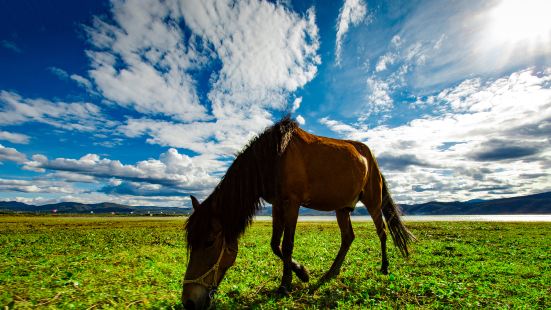 Lashi Lake Anzhong Horse Ranch