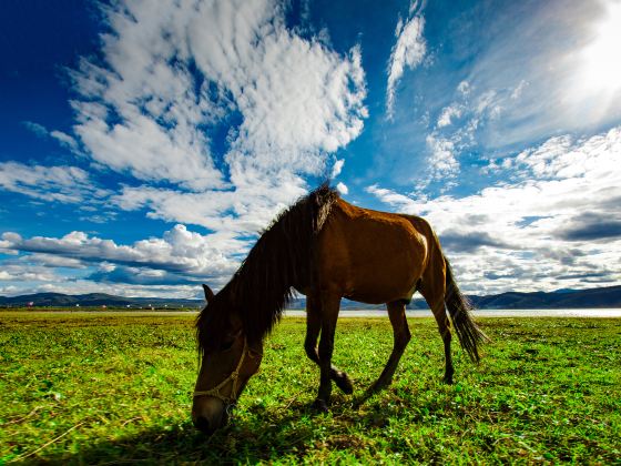 Lashi Lake Anzhong Horse Ranch