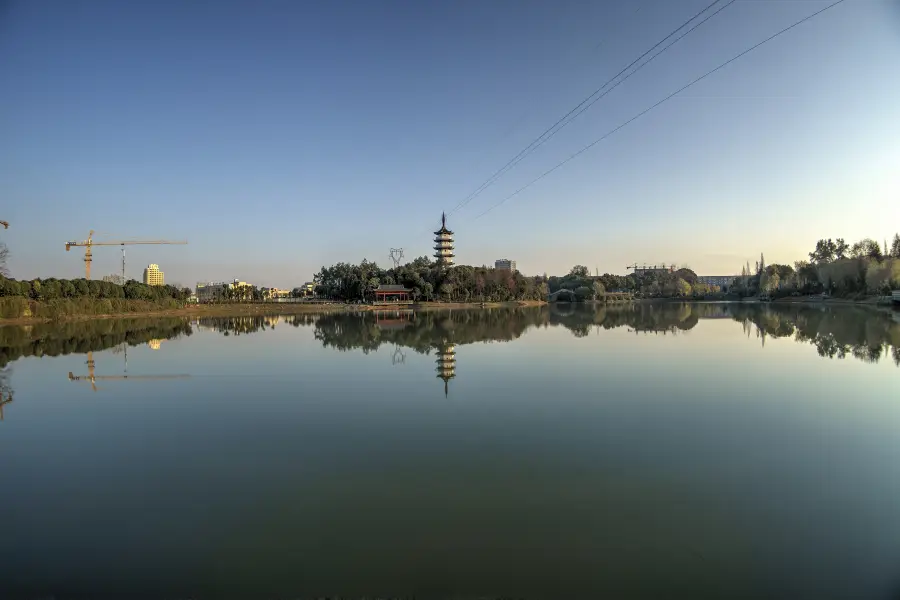 茶花文化園