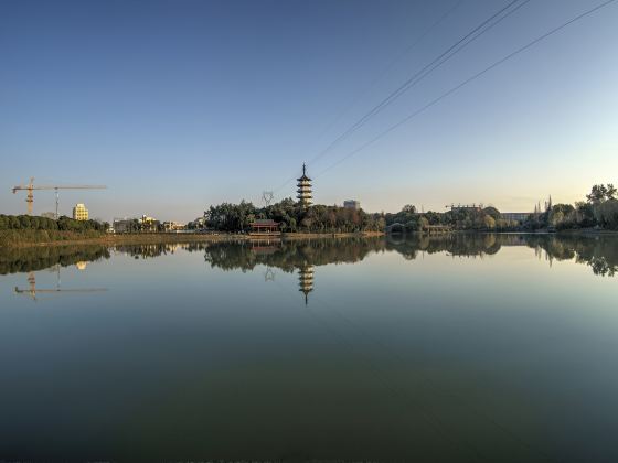 China Tea Culture Park