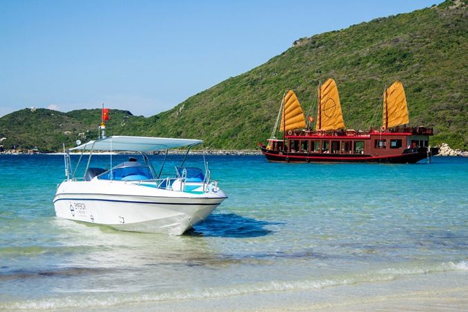 베트남 입국심사