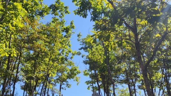 日光山山顶处有一面红旗，四面环视风景动人。遇到了当地一位退休