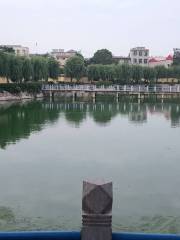 Donghai Park