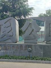Tao Park