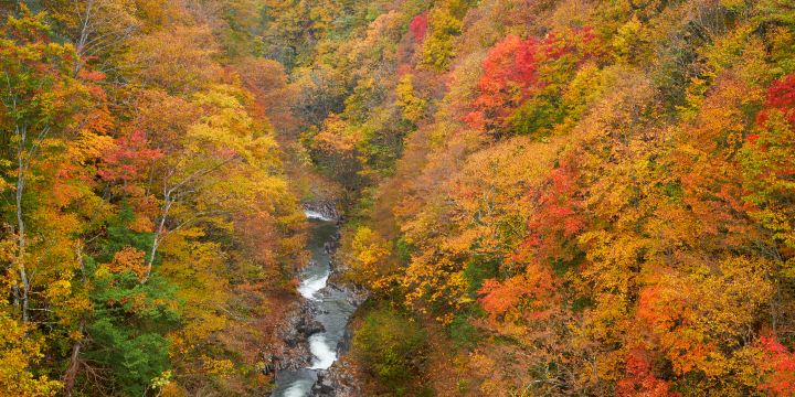 Nakatsugawa Valley
