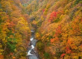 Hotels in Fukushima