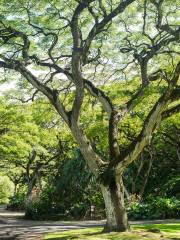 娃美阿瀑布公園