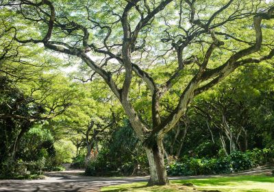 Waimea Falls Park