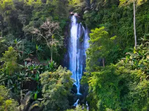 Hainan Baihualing Rainforest Cultural Tourism Zone