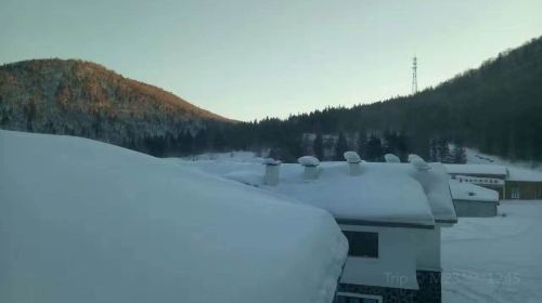 黑龍江雪鄉雙峯林場