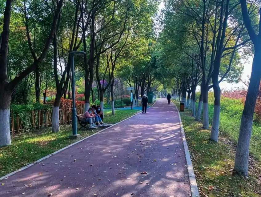 Hotels near Jiangduzizai Park