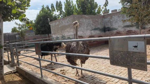 Bozhou Wildlife Park