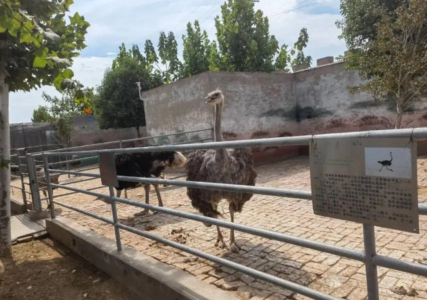 亳州野生動物園