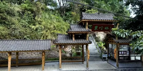 東峯林景區