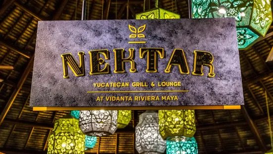 Nektar Bar at Vidanta Riviera Maya