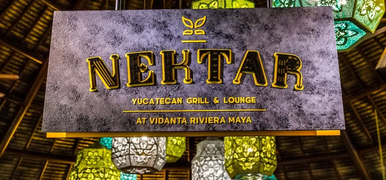 Nektar Bar at Vidanta Riviera Maya