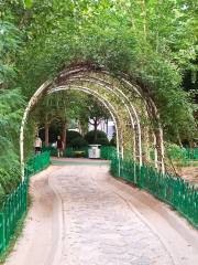 Ботанический сад на улице Чжэньчжэнь