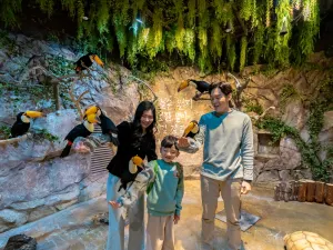 Zoolung Zoolung室內萌寵樂園(SEOUL TIMES SQUARE分店)