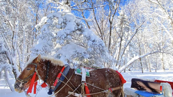 Yabuli Scenic Avenue