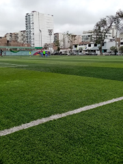 Estadio Municipal Carlos A. Moscoso