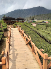 Wayang Windu Bike Park