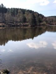 Cannock Chase AONB