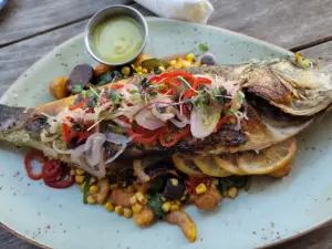 Rappahannock Oyster Bar